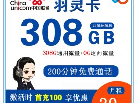 联通羽灵卡39元308G流量+200分钟通话【长期套餐】【仅发吉林省内】