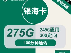 移动银海卡29元包245G通用+30G定向+100分钟【 仅发上海】